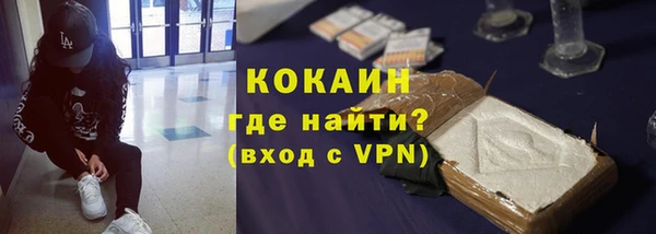 стафф Алексин