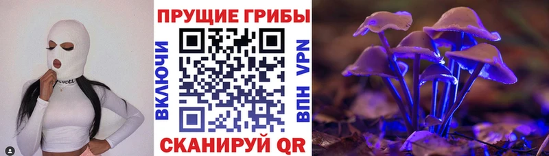 хочу   Саянск  Псилоцибиновые грибы MAGIC MUSHROOMS 
